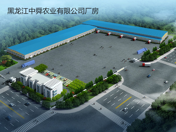 黑龍江中舜農業(yè)有限公司廠房